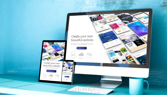 CMS Development Service Services in india
